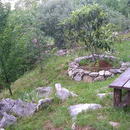 Apartman Mit Balkon Und Terrasse *